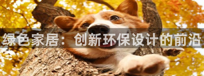 杏耀平台代理注册：绿色家居：创新环保设计的前沿