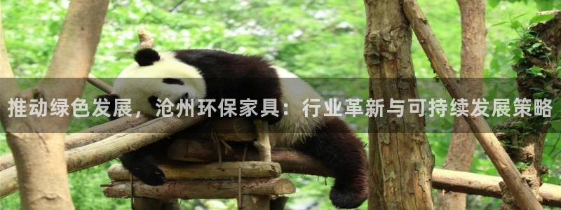 杏耀注册app：推动绿色发展，沧州环保家具：行业革新与可持续