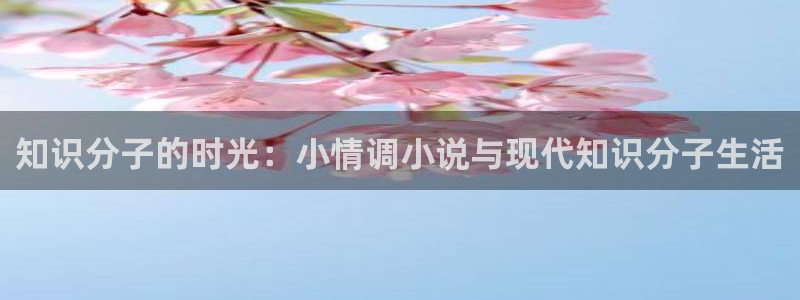 笔下文学免费下载txt小说：知识分子的时光：小情调小说与现代知识分子生活