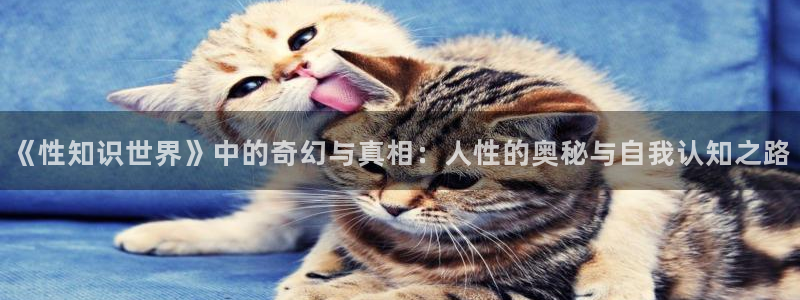 判官笔下文学：《性知识世界》中的奇幻与真相：人性的奥秘与自我认知之路
